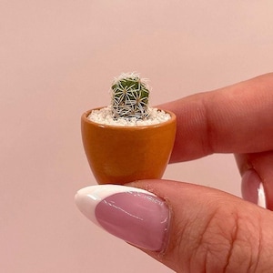 May include: A small cactus plant in a brown ceramic pot. The pot is shaped like an egg and is held in a hand.
