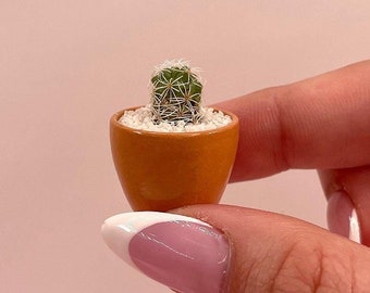 Tiny Cactus Kit, mini plant gift, desk plant, gift for coworker or friend, cute low maintenance plant, handmade pot