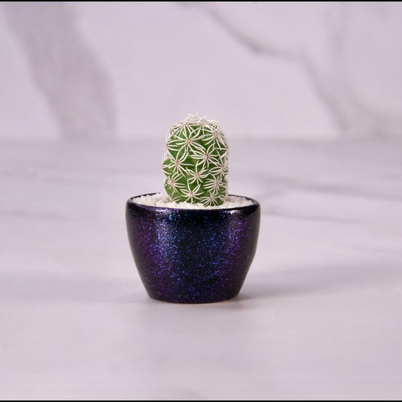 LITTLE PRICKS - Micro Mini Cactus - Cosmic Black - DIY Cactus Kits, Hand-Painted Pot, Live Plant, Gift Idea, Unique Gifts