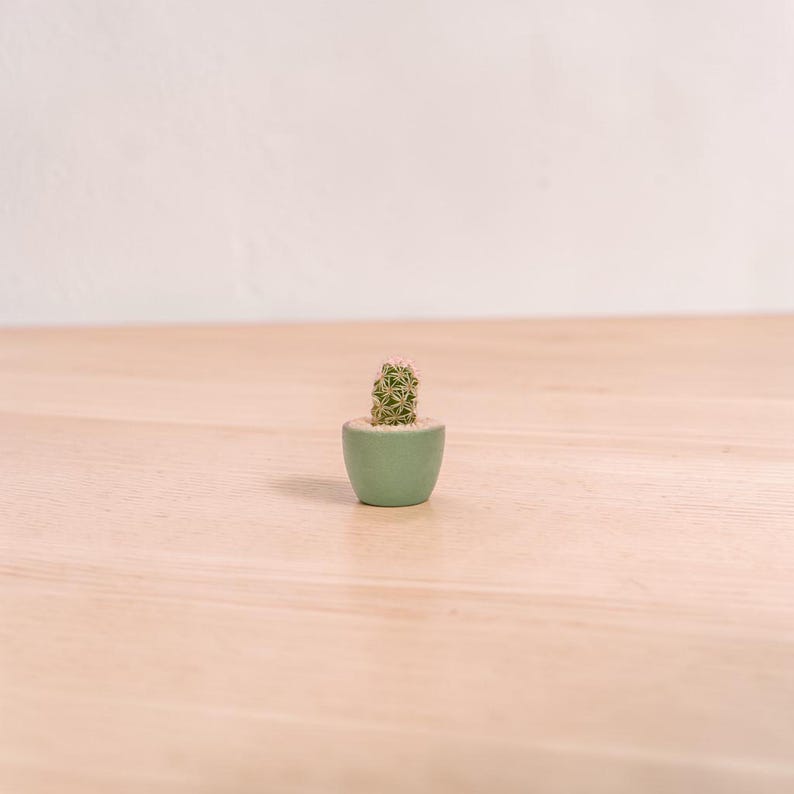 Tiny Cactus Kit, mini plant gift, desk plant, gift for coworker or friend, cute low maintenance plant, handmade pot image 1