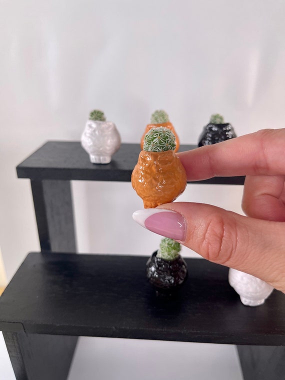 LITTLE PRICKS - Micro Mini Cactus - Owl Collection (BROWN) - Diy Cactus Kits, Hand-Painted Pot, Live Plant