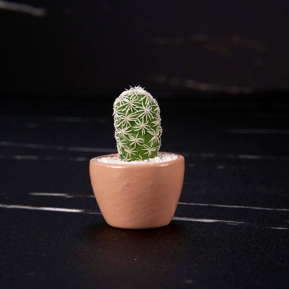 LITTLE PRICKS - Micro Mini Cactus - Light Brown - DIY Cactus Kits, Hand-Painted Pot, Live Plant, Gift Idea, Unique Gifts