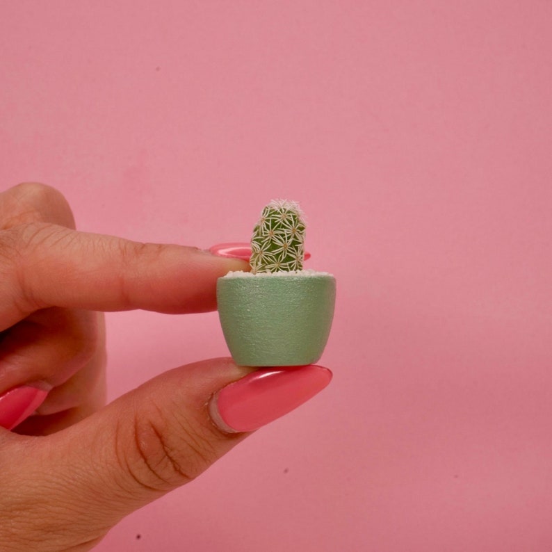 May include: A miniature green potted cactus with a cylindrical shape and white spines. The plant is set in a small, smooth, light green container filled with white gravel, showcasing a compact and detailed botanical structure for display.