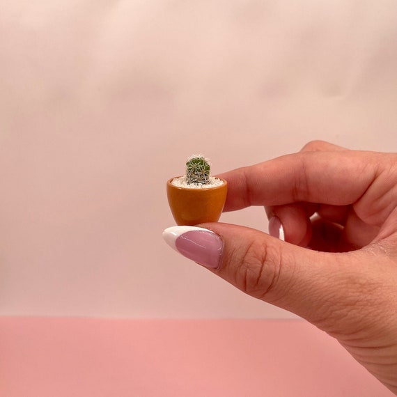 LITTLE PRICKS - Micro Mini Cactus - Terracotta- DIY Cactus Kits, Hand-Painted Pot, Live Plant