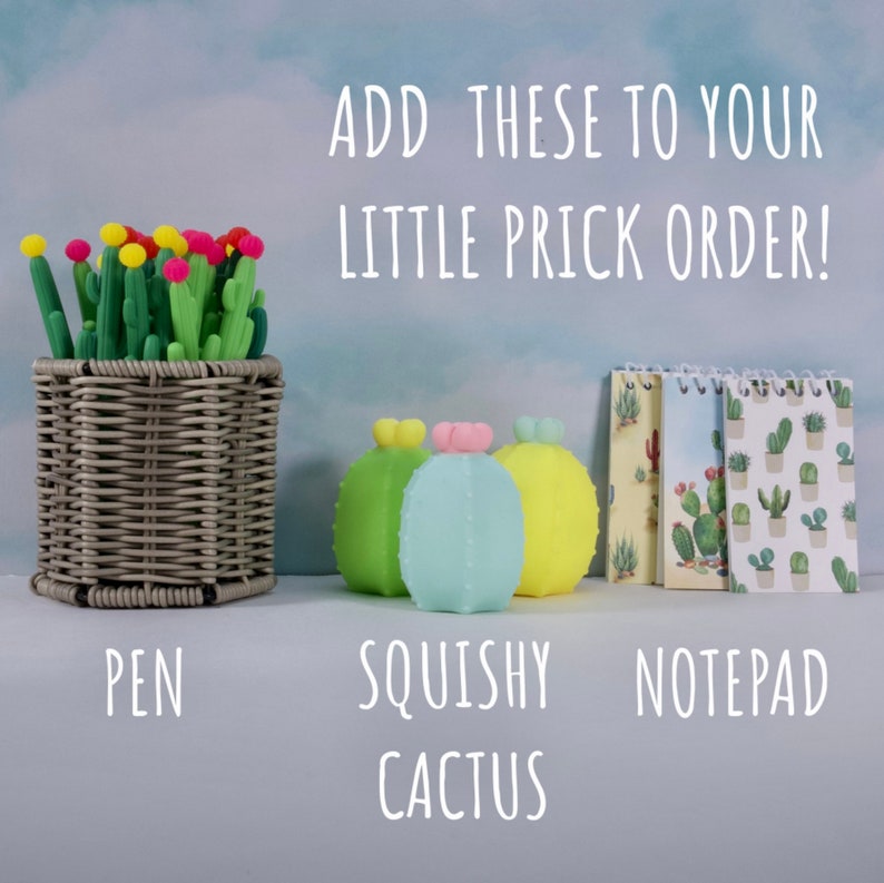 May include: A grey woven basket filled with green cactus-shaped pens with yellow and pink tops, three pastel-coloured squishy cactus figures, and a spiral-bound notepad with a cactus print. Text reads: ADD THESE TO YOUR LITTLE PRICK ORDER! PEN SQUISHY CACTUS NOTEPAD.