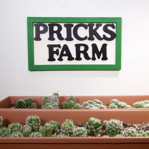 May include: A rectangular wall sign with a green frame and white background featuring the black text PRICKS FARM. Below the sign are two stacked terracotta-coloured rectangular planters filled with various small green cacti with white spines.