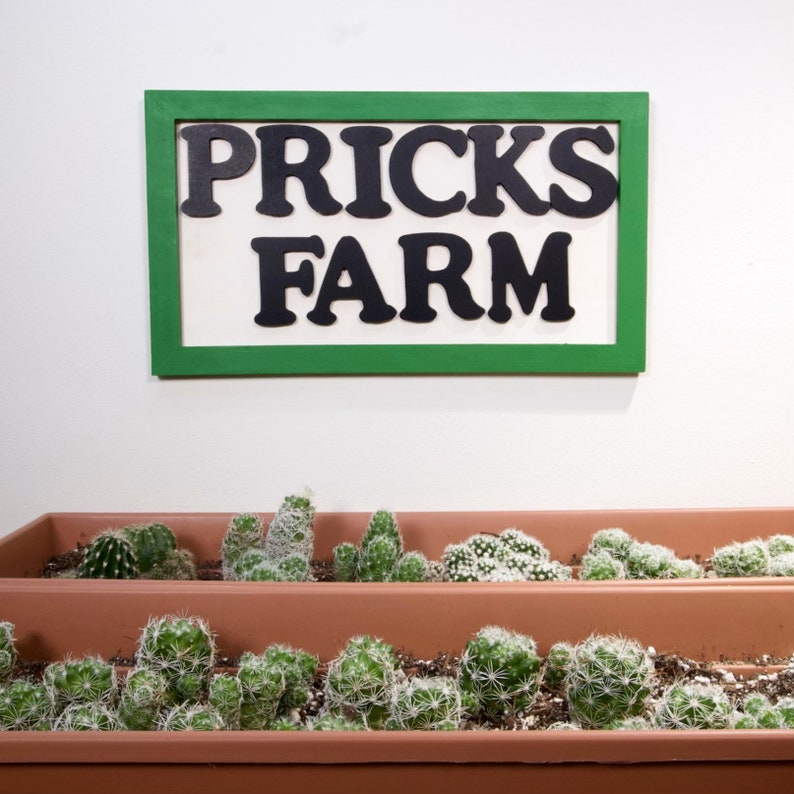 May include: A rectangular wall sign with a green frame and white background featuring the black text PRICKS FARM. Below the sign are two stacked terracotta-coloured rectangular planters filled with various small green cacti with white spines.