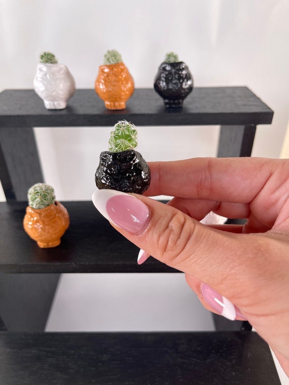 LITTLE PRICKS - Micro Mini Cactus - Owl Collection (Black) - DIY Cactus Kits, Hand-Painted Pot, Live Plant