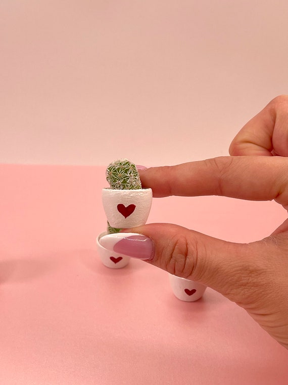 LITTLE PRICKS - Micro Mini Cactus - HEARTS Collection