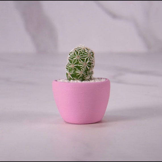LITTLE PRICKS - Micro Mini Cactus - Baby Pink - DIY Cactus Kits, Hand-Painted Pot, Live Plant, Gift Idea, Unique Gifts