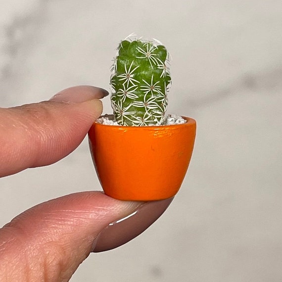 LITTLE PRICKS - Micro Mini Cactus - Orange- DIY Cactus Kits, Hand-Painted Pot, Live Plant