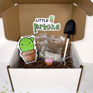 May include: A cardboard gift box containing a cactus sticker with the text Little Pricks, a small black shovel, a clear plastic dropper, a tiny pink pot with sprinkles, and two small plastic bags filled with soil and seeds, all nestled in brown paper.