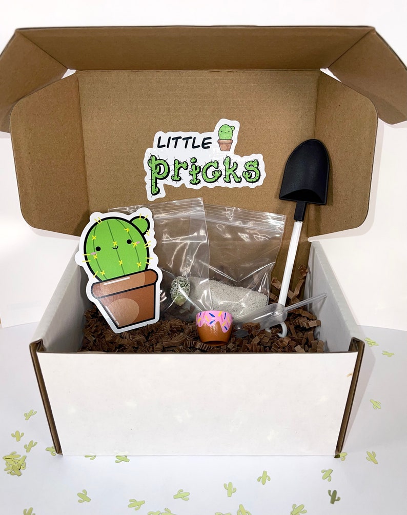 May include: A cardboard gift box containing a cactus sticker with the text Little Pricks, a small black shovel, a clear plastic dropper, a tiny pink pot with sprinkles, and two small plastic bags filled with soil and seeds, all nestled in brown paper.