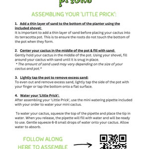 May include: An instructional document titled Little Pricks with a cactus logo. It provides four numbered steps for assembling a cactus in a planter, including using sand, a shovel, and a pipette. A QR code is included for assembly instructions.