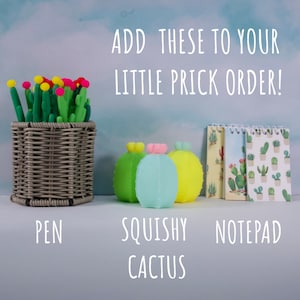 May include: A set of three colorful, squishy cactus toys, a pen holder filled with pens, and three cactus-themed notepads. The notepads have a white background with green cactus illustrations. The text "ADD THESE TO YOUR LITTLE PRICK ORDER!" is written in white on a blue background.