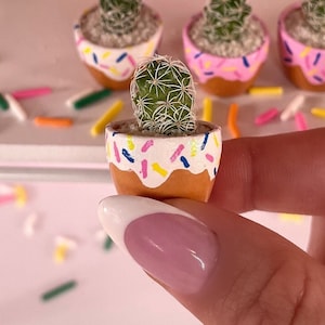 May include: A small cactus plant in a pink and white donut-shaped planter with colorful sprinkles. The planter is made of ceramic and has a brown base.