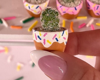 May include: A small cactus plant in a pink and white donut-shaped planter with colourful sprinkles. The planter is made of ceramic and has a brown base.