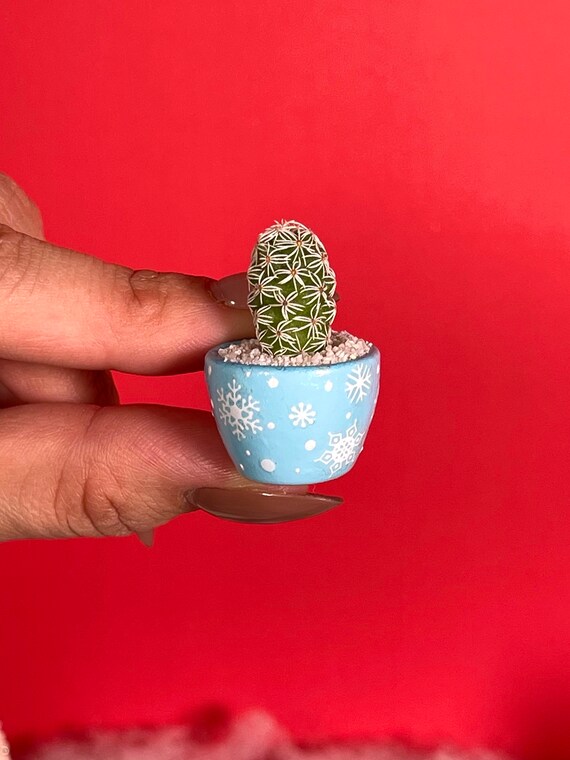 LITTLE PRICKS - Micro Mini Cactus - Snowflakes- DIY Cactus Kits, Hand-Painted Pot, Live Plant