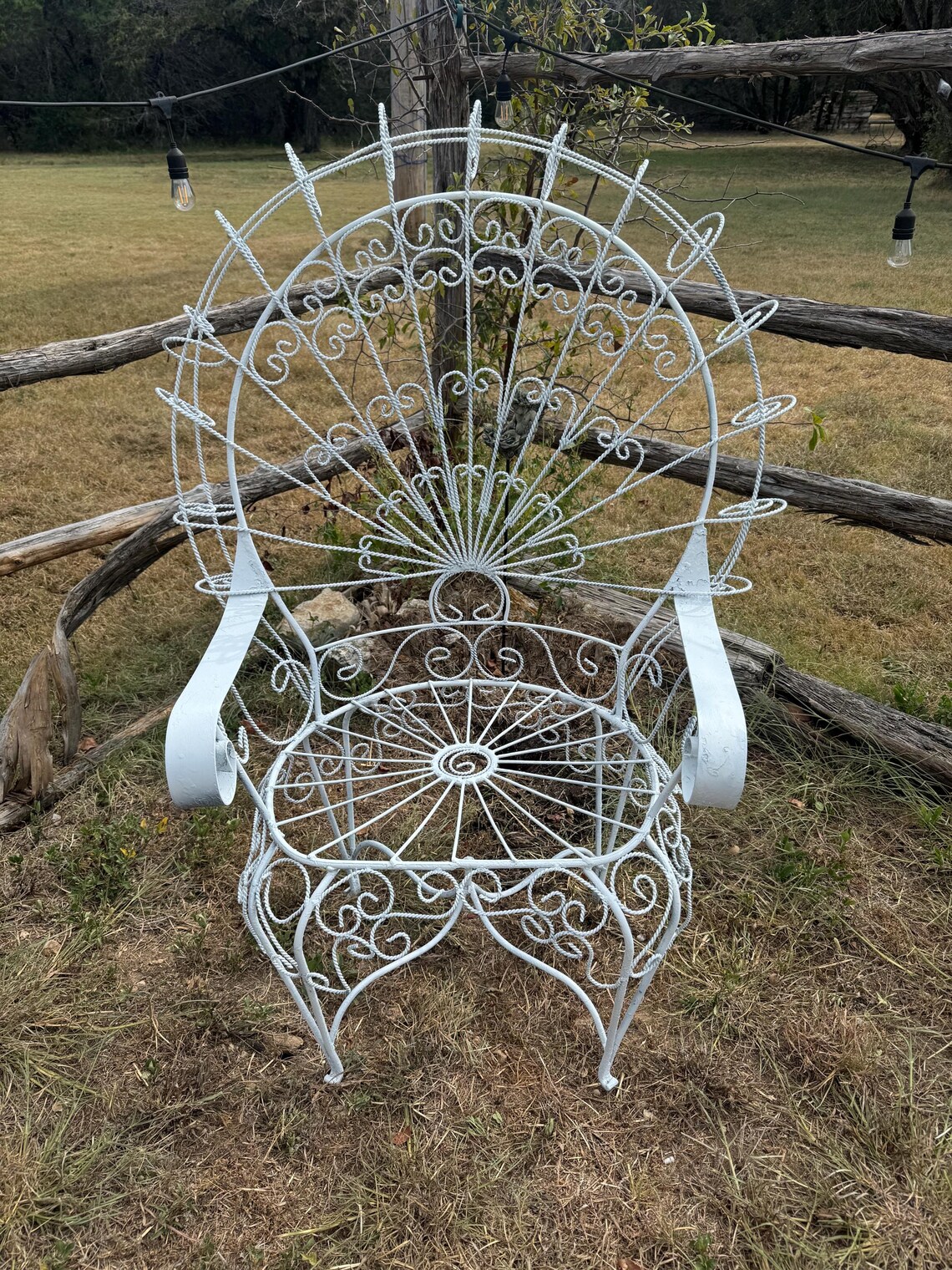 Wrought Iron Peacock Chairs