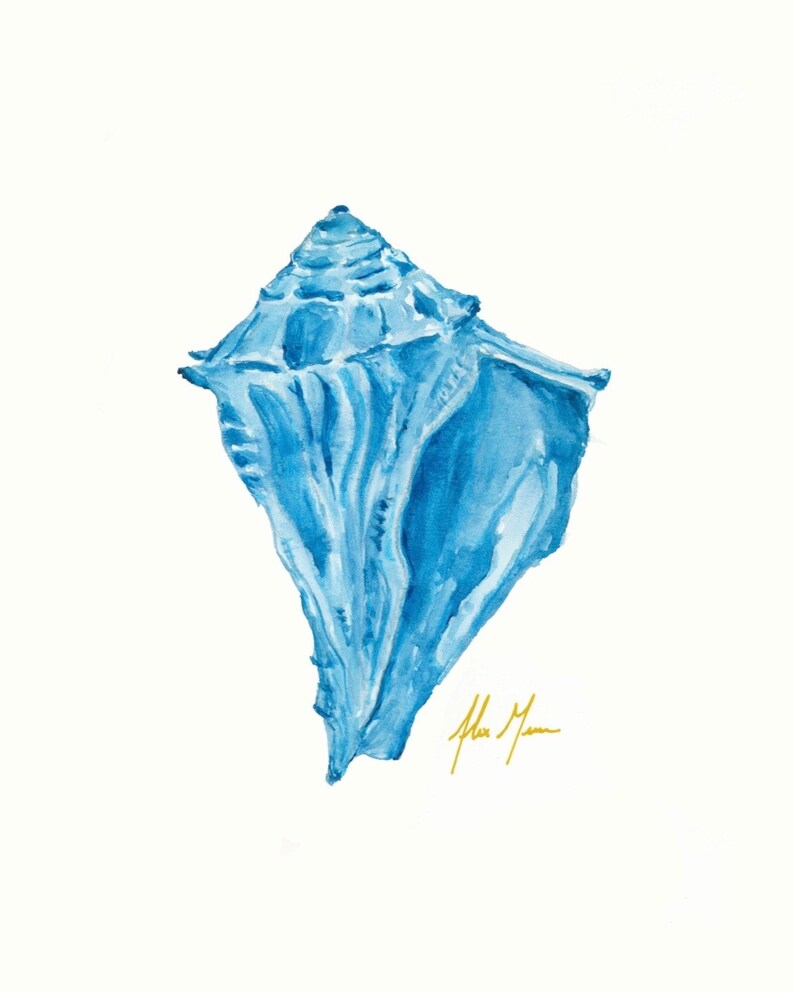 Watercolor Conch Shell Print | Beach Wall Decor | Modern Watercolor Art ...