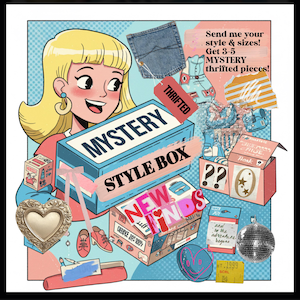 Thrifted MYSTERY Style Box
