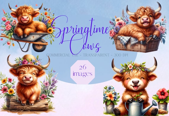 Spring Highland cow clipart png, Highland cow flower clipart, watercolor highland cow clipart, highland calf, commercial use, PNG, digital