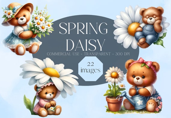 Watercolor Spring Daisy Bear Clipart, Cute bear clipart, Daisy flower, Spring Teddy bear, PNG, Commercial Use, digital download clipart