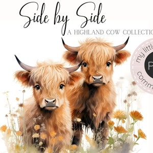 Highland cow clipart png, Nursery Print, Highland cow png clipart, watercolor highland cow clipart png