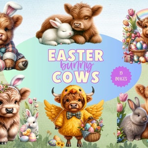 Clipart acquerello di mucca delle Highlands coniglietto di Pasqua, mucche delle Highlands primaverili, clipart di mucca delle Highlands, clipart di Pasqua, clipart di primavera, download digitale
