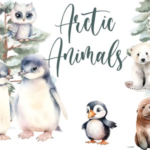 clipart aquarelle animaux de l'Arctique, animaux des neiges png, clipart aquarelle png, licence commerciale, pingouin, ours polaire, téléchargement numérique