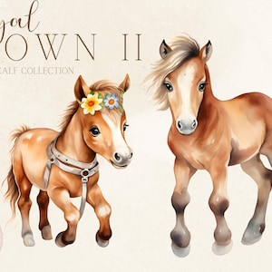 Clipart cheval floral aquarelle, cheval floral Png, cheval aquarelle Png, décoration de chambre d'enfant, papeterie, art mural, cheval floral Svg, PNG numérique