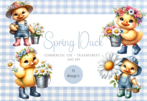 Watercolor Spring Duckling Clipart, Daisy Duck Clipart, watercolor spring daisy clipart, Cute duck PNG, Spring duck, daisy Flower, clipart