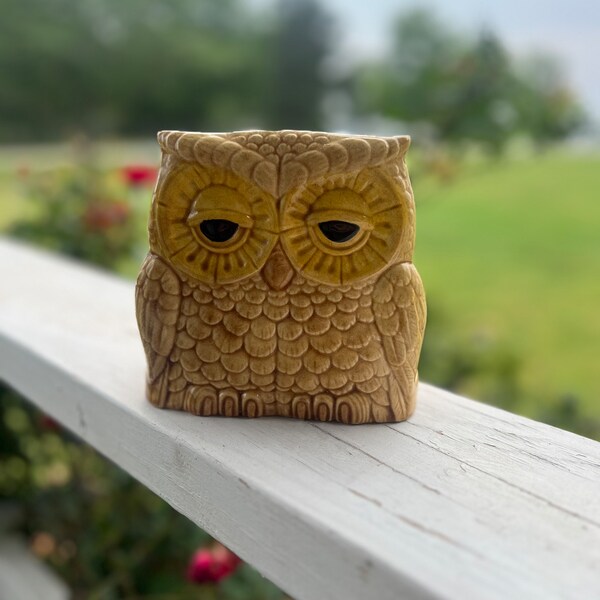 Owl Napkin Holder Etsy