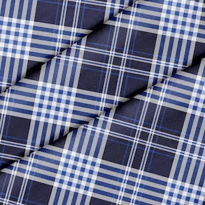 May include: A blue and white plaid fabric with a subtle sheen. The fabric has a woven texture and a diagonal pattern.