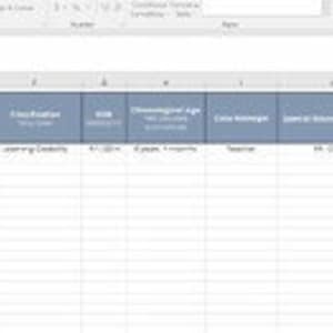 School Psychologist Excel Caseload Evaluation Report Tracker Special Ed ...