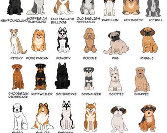 Cute Dog Breeds Dog Names That Start With R Puppy Small TOY BREEDS