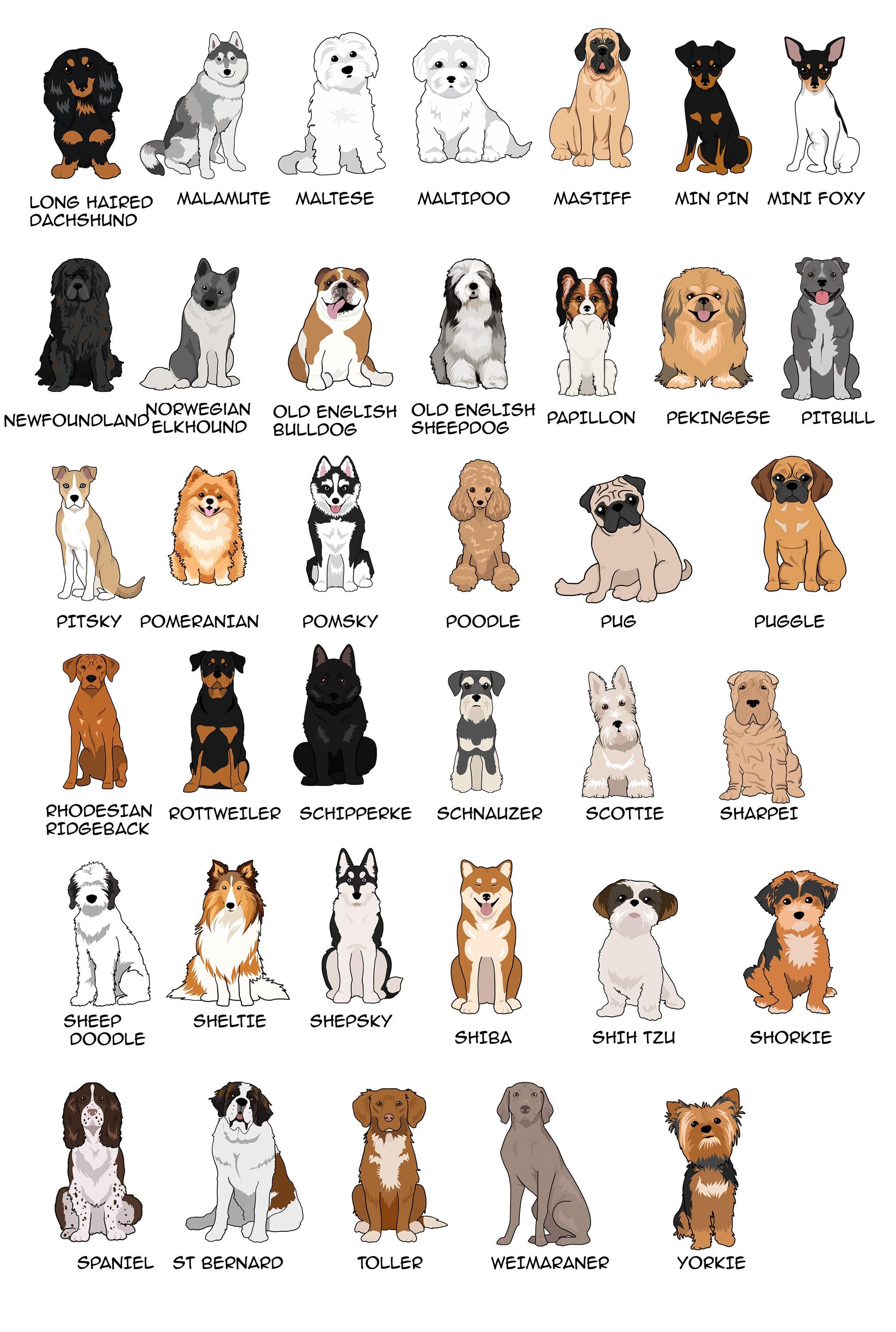 Old Breeds of Dogs: Timeless Companions Unveiled