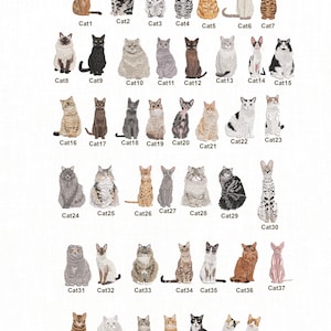Puede incluir: Una colección de 44 ilustraciones de gatos, cada uno con una apariencia única. Los gatos varían en color, patrón y raza, incluyendo atigrados, calicó y felinos de color sólido. Cada gato está etiquetado con un número del Cat1 al Cat44.