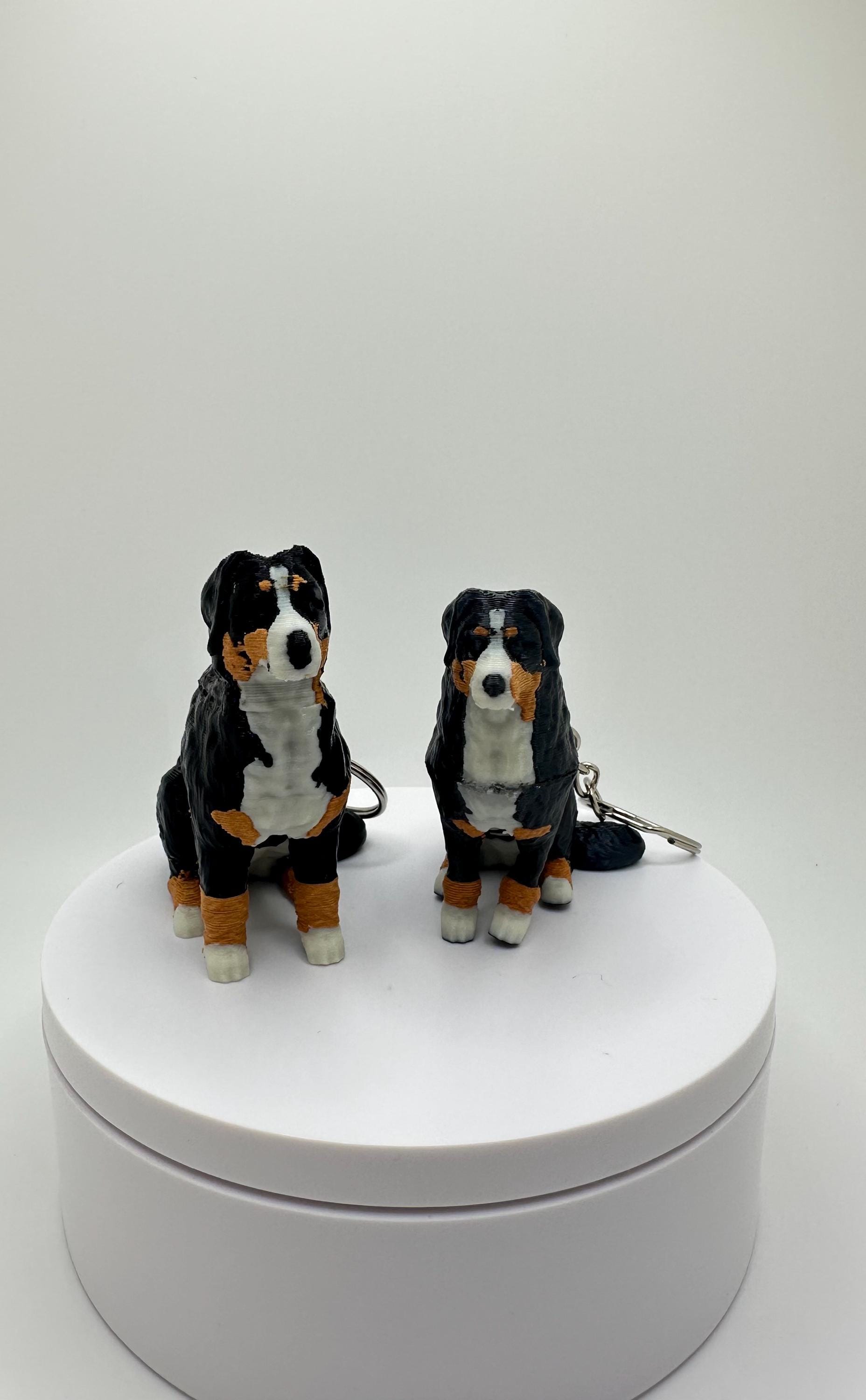 Custom 3D Printed Dog Keychain: Articulated Fidget Toy, Pet Breed ...