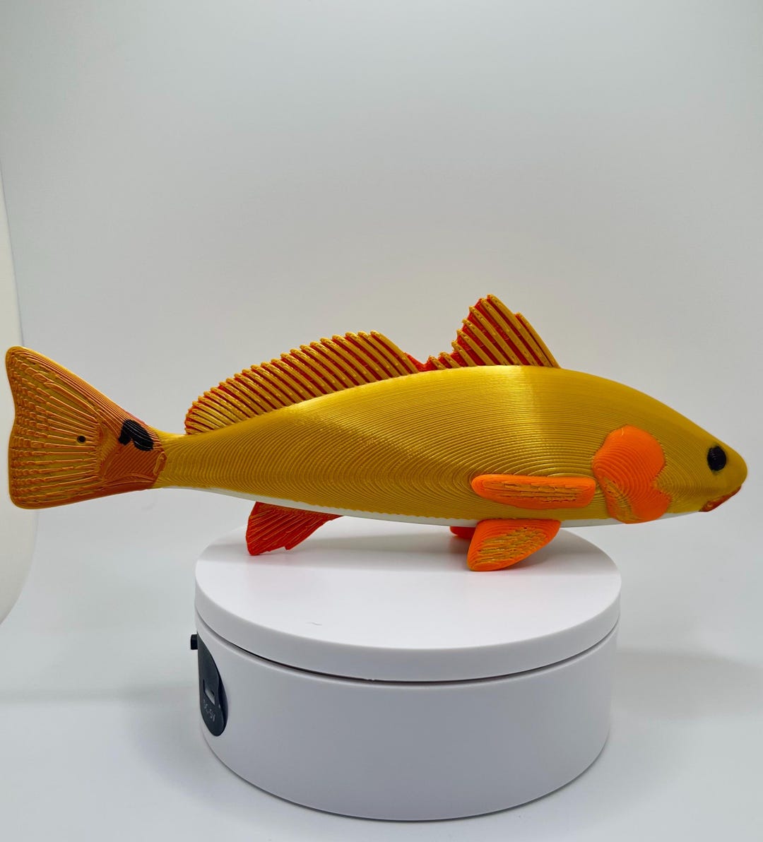 3D Printed Fish Model: Custom Fishing Gift, Personalized Fish Decor - Etsy