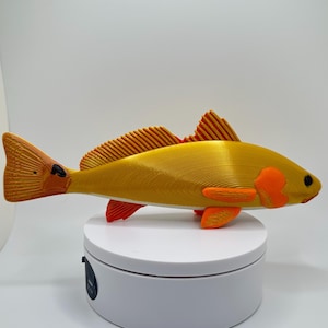 May include: A 3D printed red drum fish model with orange and yellow accents. The fish is posed on a white turntable.