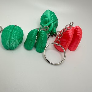Anatomical Heart Keychain - Unique Organ Keychains for Science Lovers - Brain, Lungs & Kidneys - Perfect Doctor Gift