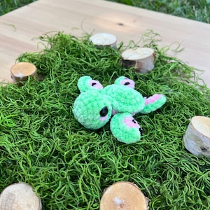 Crochet Amigurumi Watermelon and Dragonfruit Turtle Handmade Sea Turtle Stuffed Animal Fruit Plush Custom Tropical Gift for Animal Lover