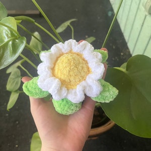 Crochet Amigurumi Daisy Flower Soft Crochet Turtle Flower Shell Turtle Handmade Stuffed Animal Gift for Animal Lovers Plush Turtle Flower