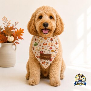 Personalisiertes Hundehalstuch mit Kürbisgewürz, individuelles Herbst-Hundehalstuch, Herbst-Haustierschal, Thanksgiving-Geschenk für Hunde, Accessoire für die Kürbisernte