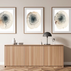 Tree Ring Wall Art  Set of 3 | Tree Ring Prints | Digital Download | Printable