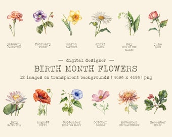 Birth Month Flower PNG Bundle | Birth Flower Clipart | Graphics Floral Set PNG Birth Month Tattoo | Birth Flowerpng