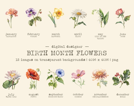 Birth Month Flower PNG Bundle | Birth Flower Clipart | Graphics Floral Set PNG Birth Month Tattoo | Birth Flowerpng