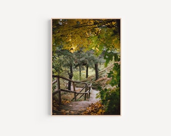 Impression de paysage de chemin forestier d'automne, affiche de paysage d'automne, art mural imprimable couleurs d'automne, téléchargement numérique