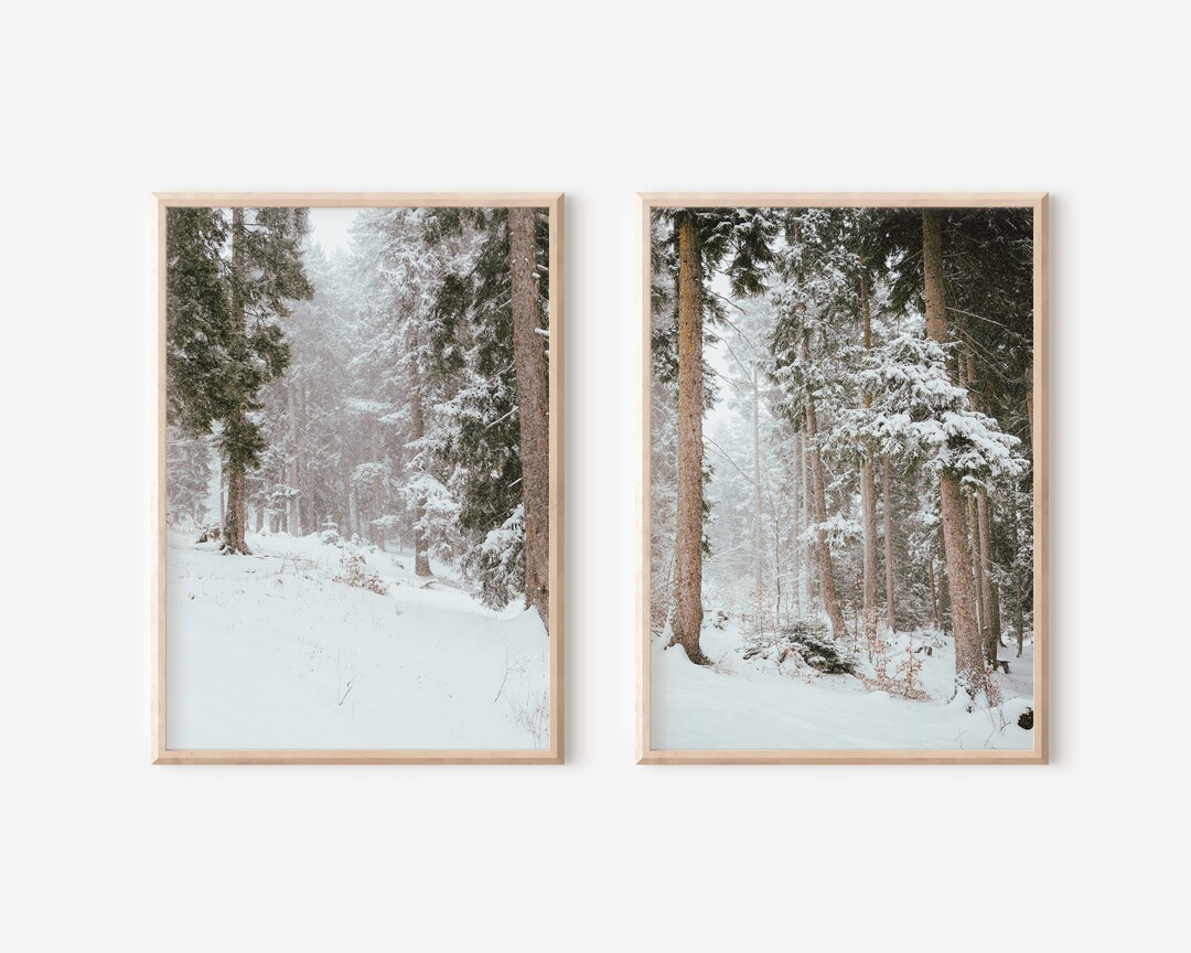 Winter Forest Set of 2, Snowy Trees Prints, Winter Photo Cards, Rustic ...
